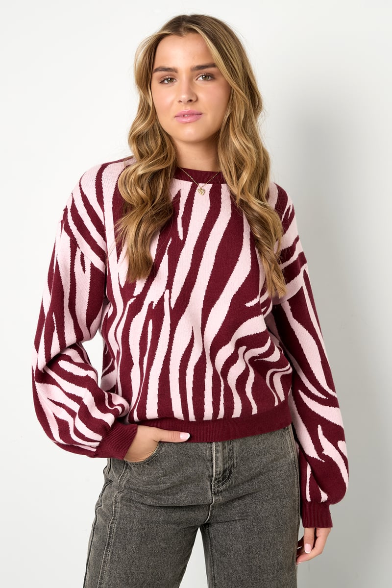 Gebreide truien Zebrastrepen Casual herfst/winterkleding